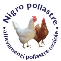 Nigro Pollastre